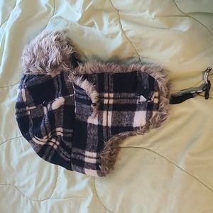 Trapper hat